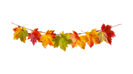 Beautiful autumn maple leaf garland decoration festive seasonal outdoor decor transparent background
