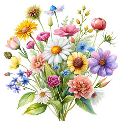 Watercolor Wildflower Botanical Art on White Background