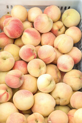 Fresh Yangshan Peaches in Crate - Organic Stone Fruit from Local Farm Market