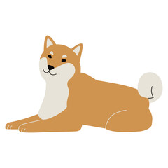 Shiba inu illustration.