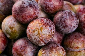 Fresh Ripe Red Purple Plums with Natural Bloom - Healthy Organic Stone Fruit Close-up