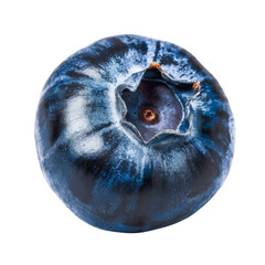 single blueberry isolated on white background, macro shot.