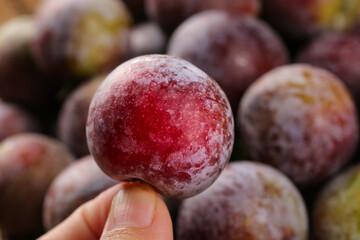 Hand-picked fresh red Sichuan plum with crisp flesh - quality fruit photography