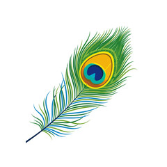 A close up illustration of a beautiful peacock feather with intricate detail and vibrant green blue and yellow colors