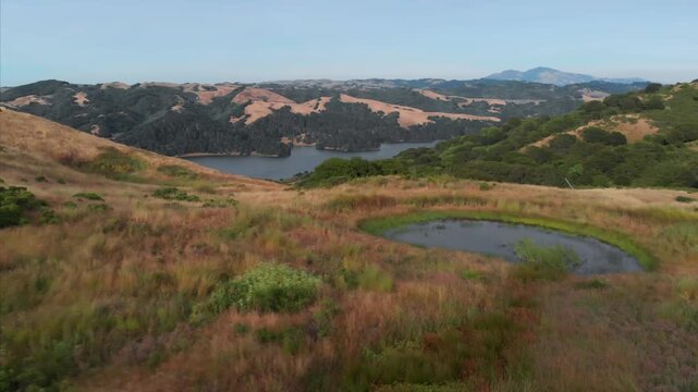 A scenic view of San Pablo Reservoir, Berkeley, California, USA. Rolling hills meet the water, with green trees in the foreground and golden grass on the hillsides.