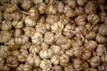 close up of garlic