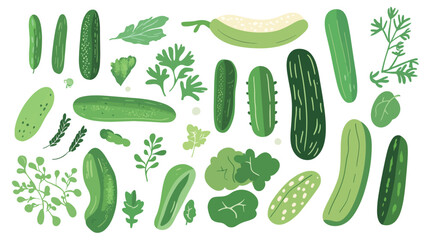 Cucumber – Vector Graphic Design