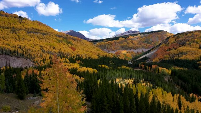 Colorado Mountains Fall Foliage with Yellow Aspen Trees Drone