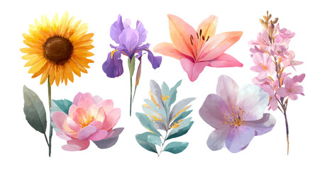 Fototapeta premium Beautiful Floral Collection with Sunflower and Various Elegant Blooms on Transparent Background