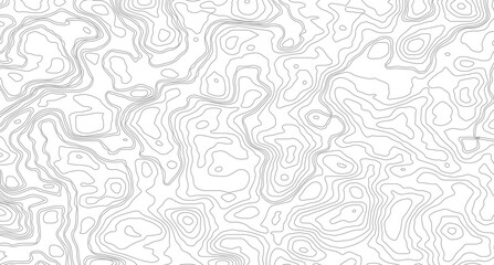 Abstract lines background. Contour maps. Topo contour map on white background. Abstract background with waves Geographic mountain relief. 