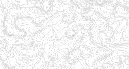 Geography landscape Topo contour map on white background, Geographic mountain relief diagram line wave carve pattern. 
