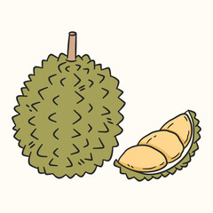 Durian fruit vector illustration cartoon