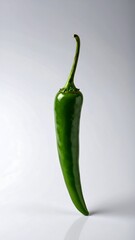 Green chili pepper, studio shot
