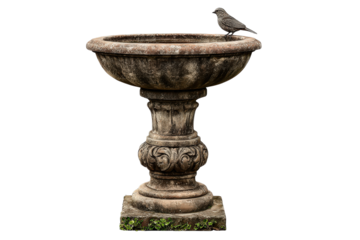 A small bird perched on an old weathered stone birdbath.