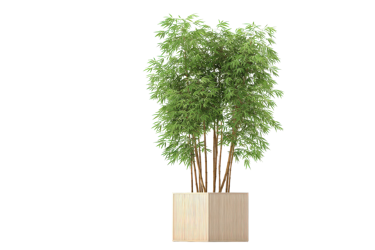 Tall leafy green houseplant in a modern beige planter.