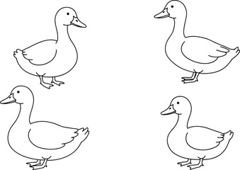 Duck coloring page vector, farm bird outline drawing, domestic duck illustration for kids, black and white duck sketch, printable artwork