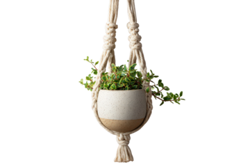 Bohemian style macrame plant hanger holding a ceramic pot.