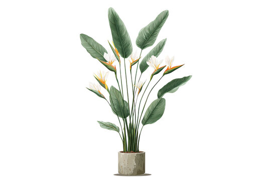 Watercolor illustration of a potted Bird of Paradise plant. - Powered by Adobe