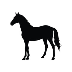 Silhouette of a majestic horse standing gracefully against a stark white background, horse silhouette vector illustration