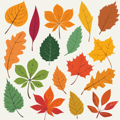 Obraz premium Flat lay collection of various autumn leaves in warm, earthy tones against a beige background; illustration of oak, maple, and other deciduous leaves.