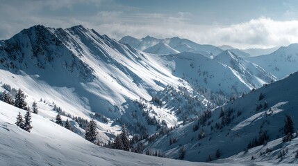 Obraz premium Serene snow-covered island landscape featuring frosted trees, frozen lakes, and rolling winter hills under a clear sky, capturing the tranquil beauty of a peaceful winter scene