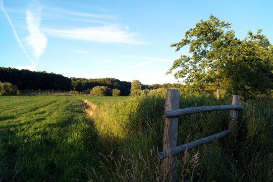 summer rural landscape - wooden fence at the edge of a field