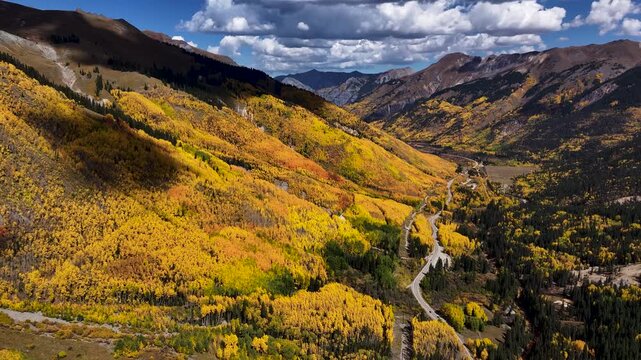 Bright Yellow Aspen Trees in Southwest Colorado Mountains Ariel