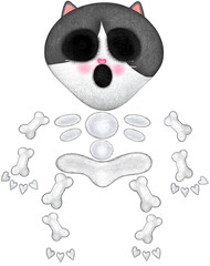 Fototapeta premium Cat skeleton