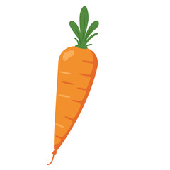 Orange carrot with green leaves. Great for diet visuals, vegetarian-themed designs, or farm graphics.