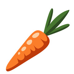 Orange carrot with green top. Suitable for diet visuals, vegetarian recipes, or healthy eating graphics.