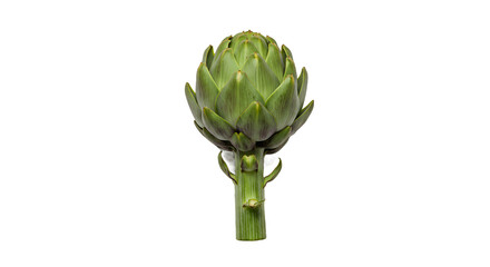 Vibrant Green Globe Artichoke with Stem Against Striped Background