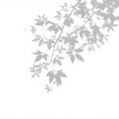 shadow overlay effect. Gray shadow of leaves isolated on white background. Plant foliage leaf shadow light effect. Mockup Blurred tree branch shadow. Ideal for summer spring design elements PNG