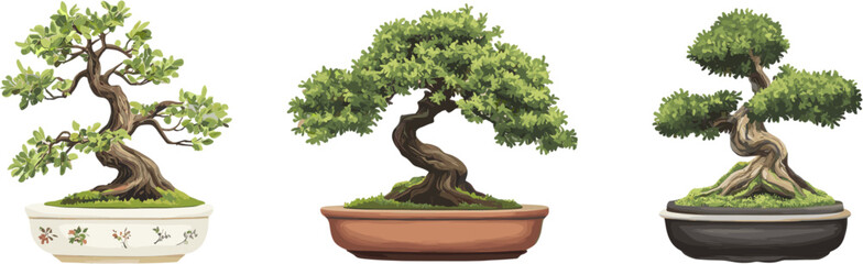 3 sets of decorative bonsai plants. Vector illustration