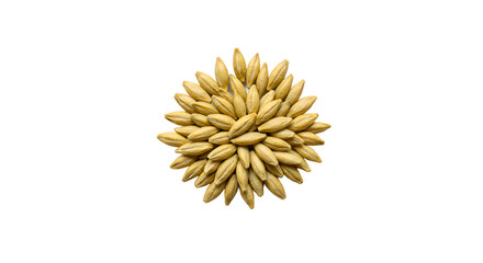 Golden Barley Grains Arranged on Striped Background
