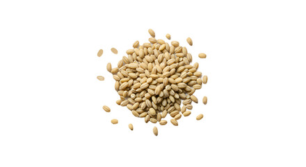 Pile of Raw Barley Grains Scattered on a Dark Black Background, Top View