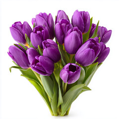 Purple tulip bouquet