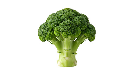 Fresh Vibrant Green Broccoli Crown Standing Upright on a Dark Background