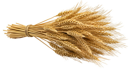 Golden Wheat Bundle Tied with Twine on a Warm Gradient Background