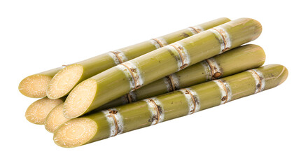 Freshly Harvested Sugarcane Stalks Arranged for Processing