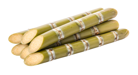 Freshly Harvested Sugarcane Stalks Arranged for Processing