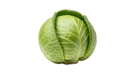 Fototapeta premium Fresh Green Cabbage Head on a Dark and Striped Background