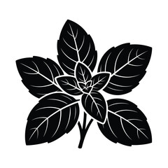 Black and white illustration of a fresh basil plant sprig