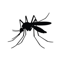 Black silhouette of a mosquito insect on white background