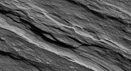 Closeup of textured dark gray rock with lighter veins