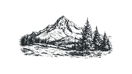 Hand drawn mountainous landscape with pine trees and grassy foreground. Vector hand drawn illustration