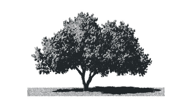 Stippled tree with full foliage and shadow on transparent background. Vector hand drawn illustration