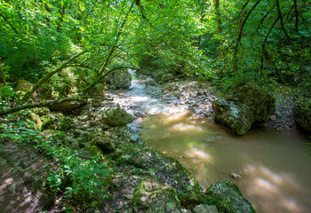 Obraz premium the source of a mountain river, on the slopes and in a stone riverbed in the mountains