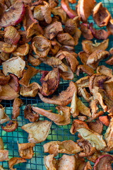 Different apples are dried on a grid. High quality photo