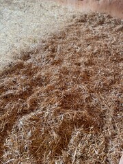 Stroh ausgelegt