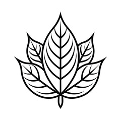 elaborate leaf element vector on white background